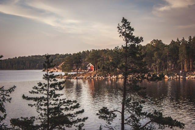 Forest Retreat (Sweden), landscape photograph of body of water near forest 