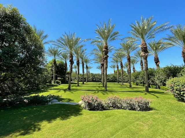 A lush green field with lots of palm trees in Coachella, California. one of the best places to travel in April.